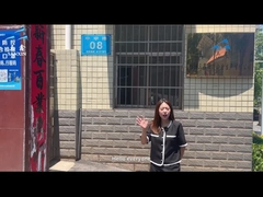 Szybki obraz fabryki w zakładzie Sanxin 1