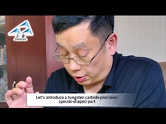 Zhuzhou Sanxin-Tungsten Carbide Precision Specjalnie ukształtowana część