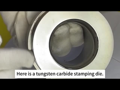 Zhuzhou Sanxin Cemented Carbide - pleśń